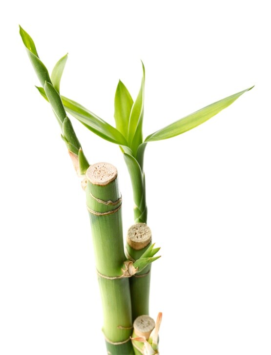 Dell EMC ML3/ML3E磁带库和扩展 - 选择磁带，与绿色同行